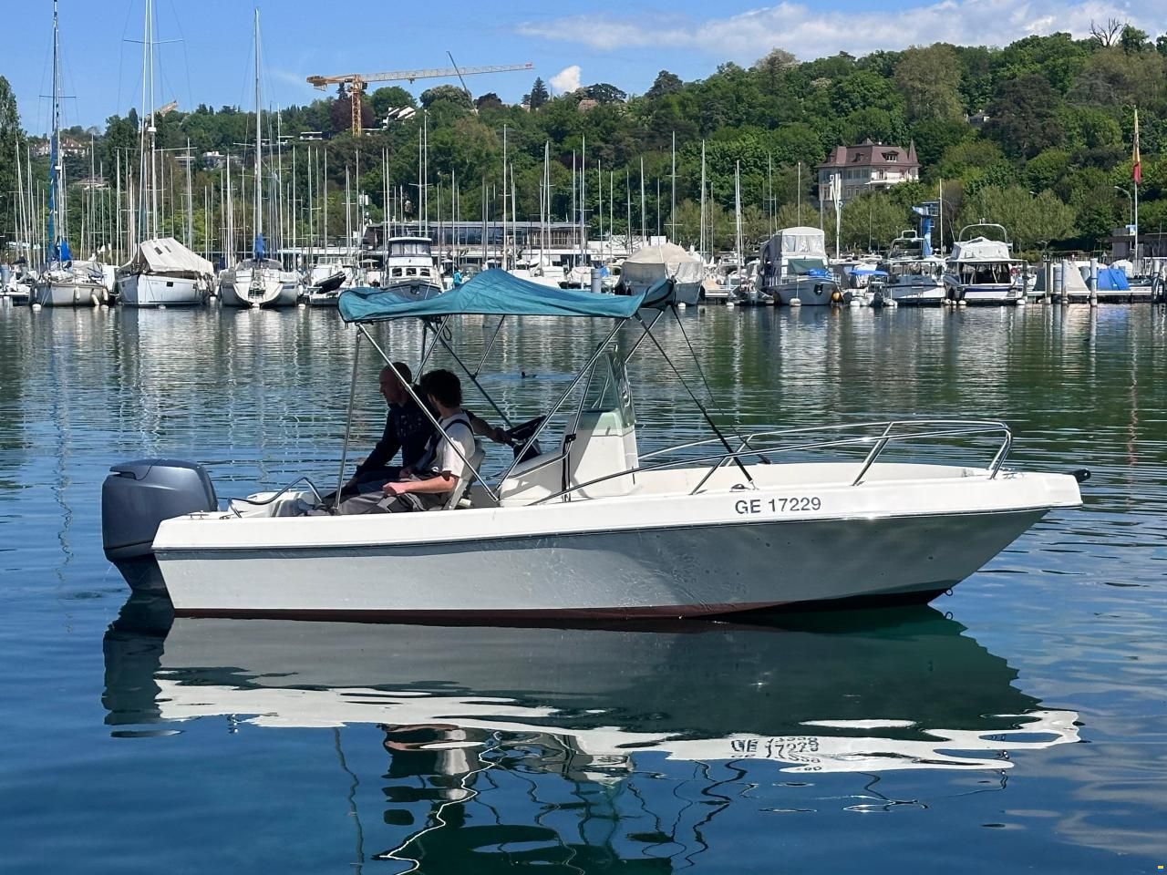 White Shark Kelt WhiteShark 175