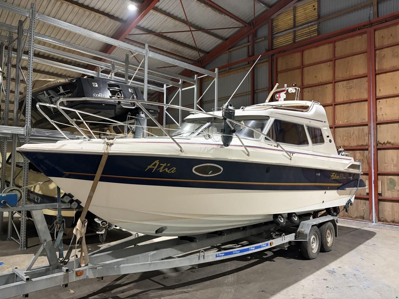 Bella Falcon 26