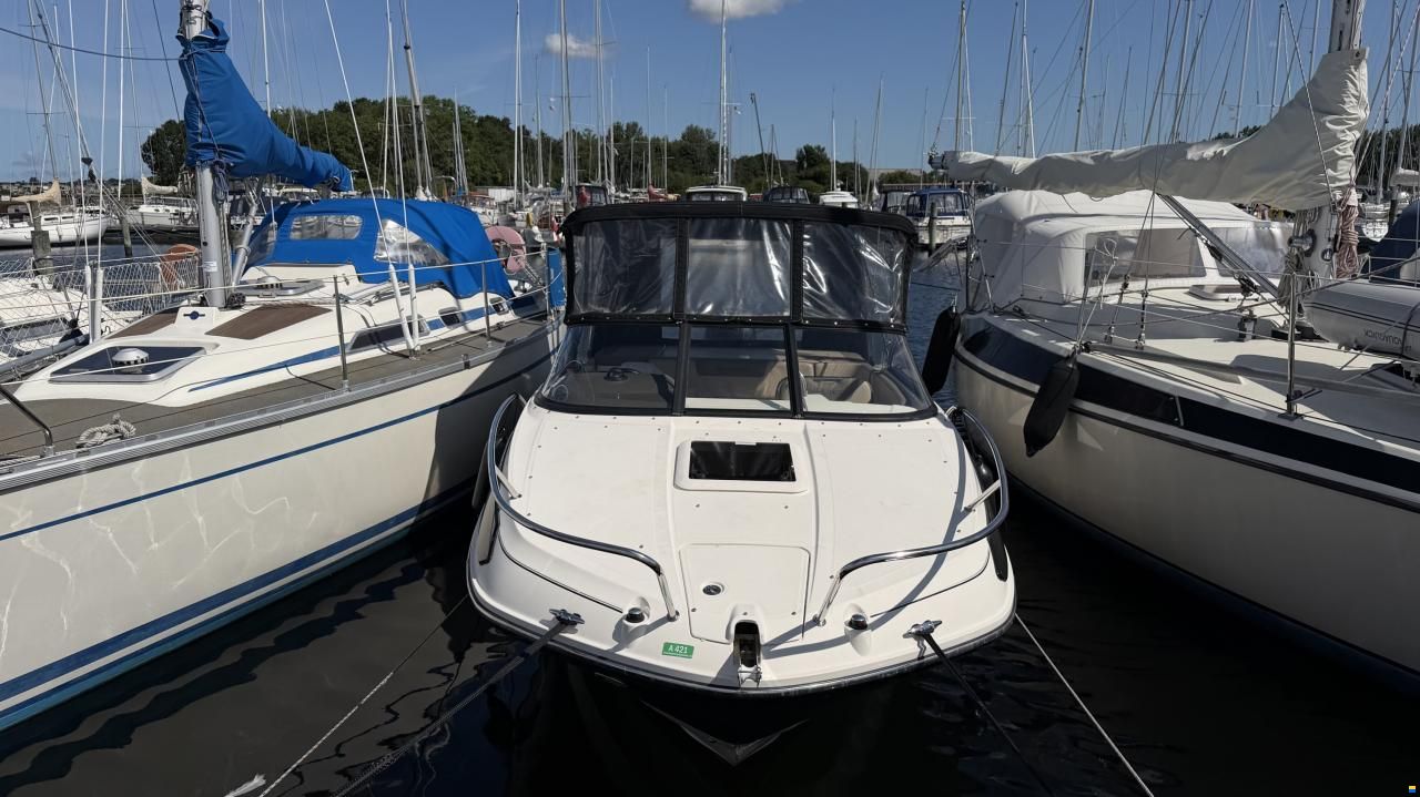 Bayliner VR5 Cuddy