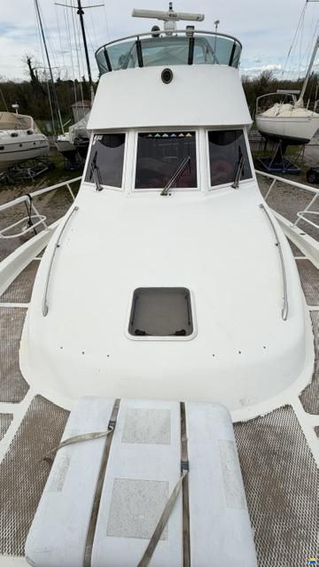 Vincenzo Catarsi CALAFURIA 13