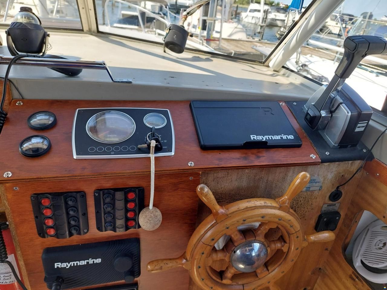 Polar 29