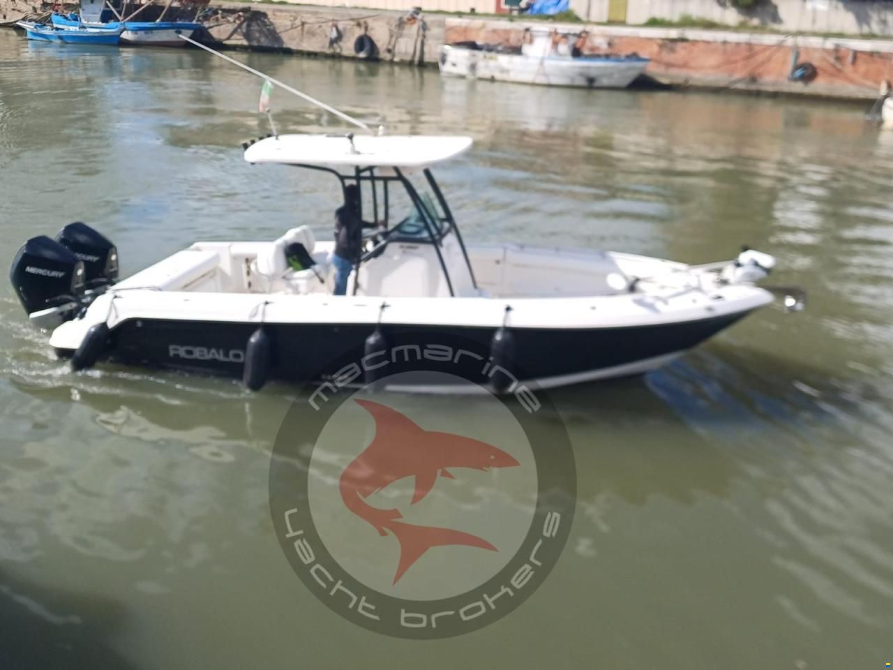 Robalo 260