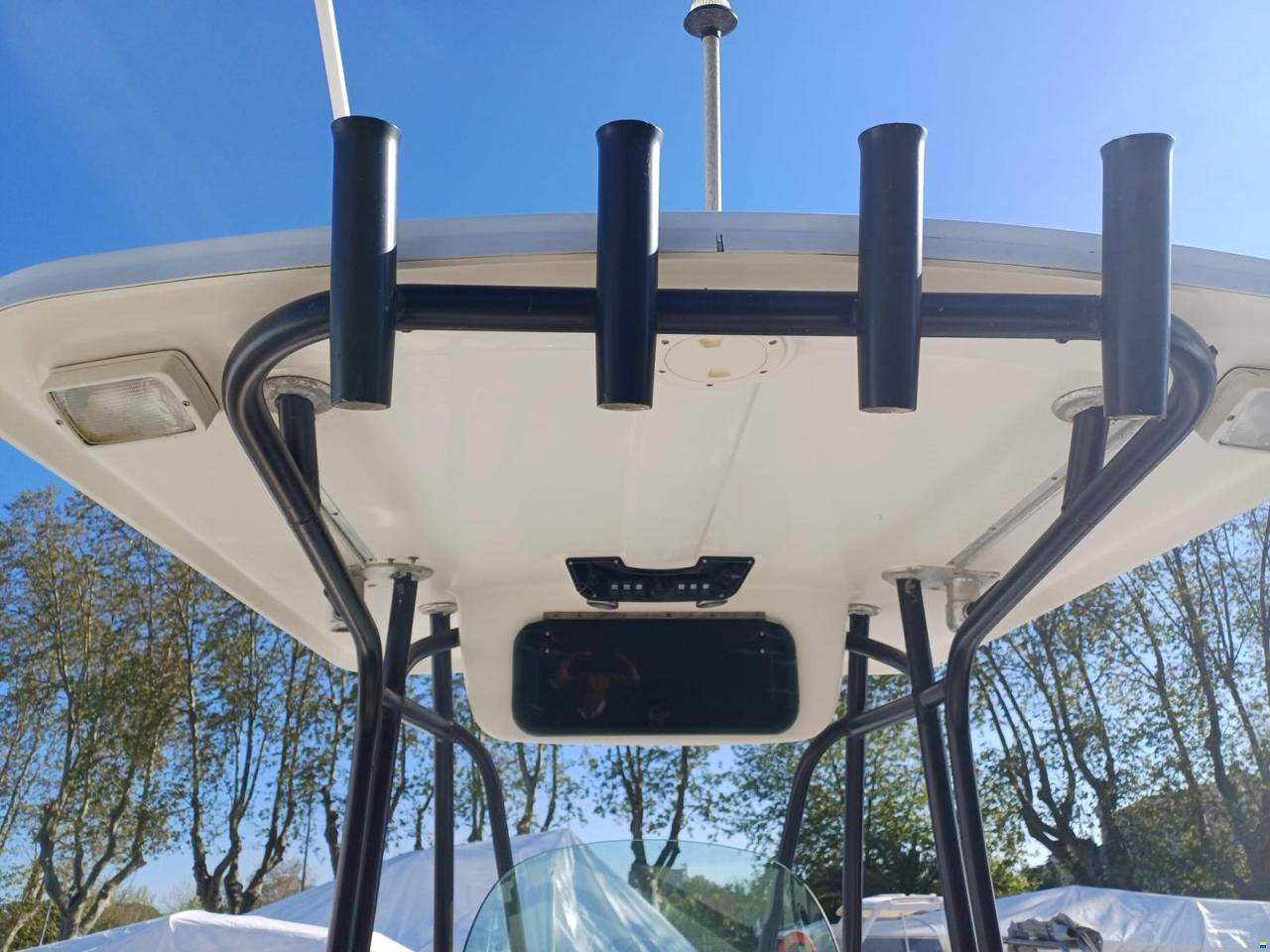 Robalo 260