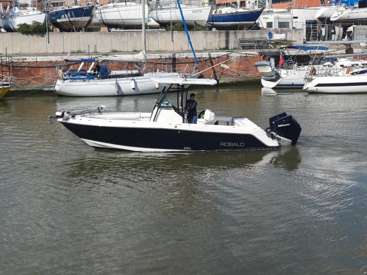 Robalo 260