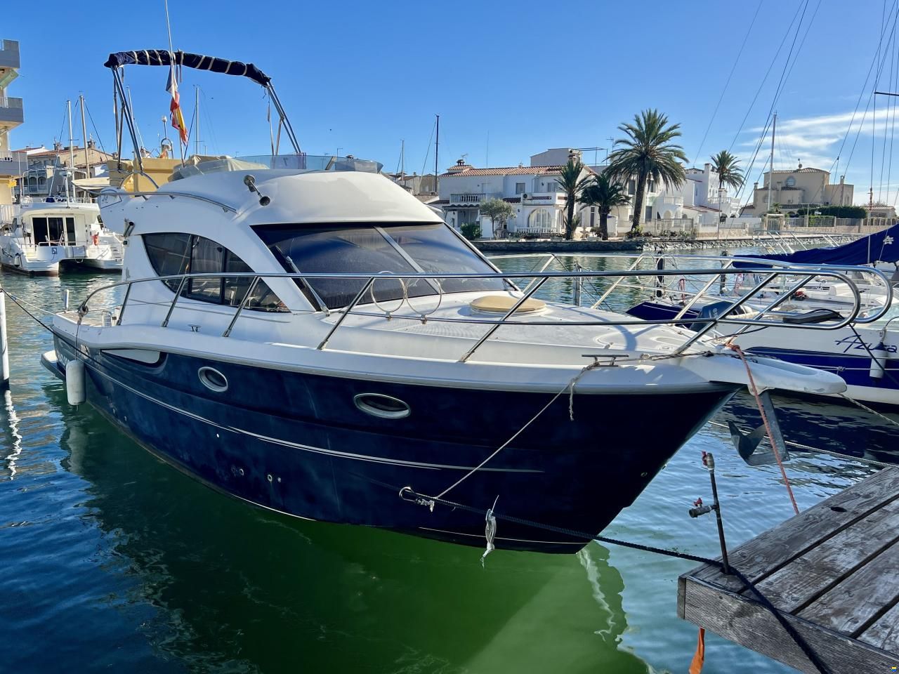 Sessa Dorado 36