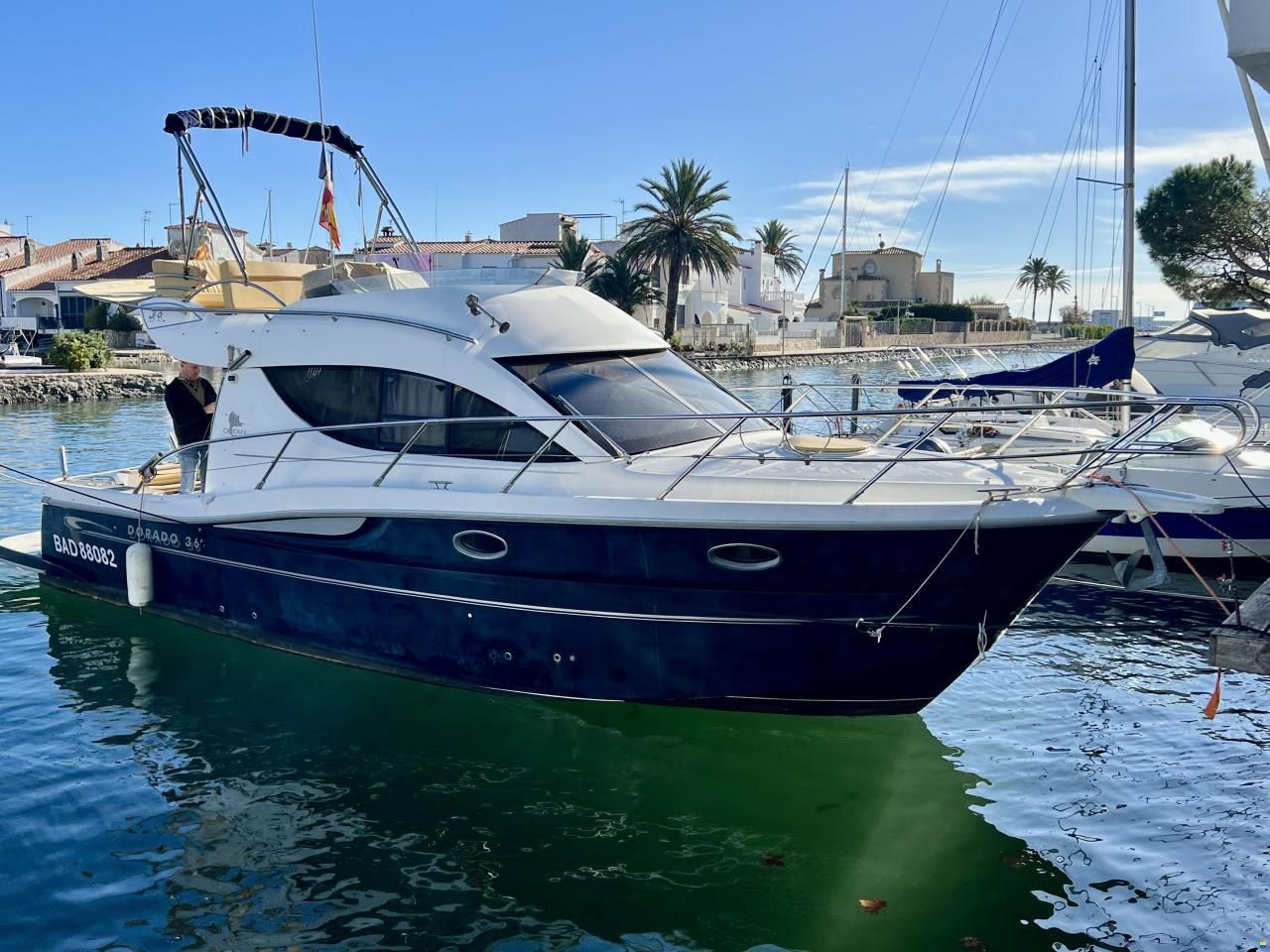 Sessa Dorado 36