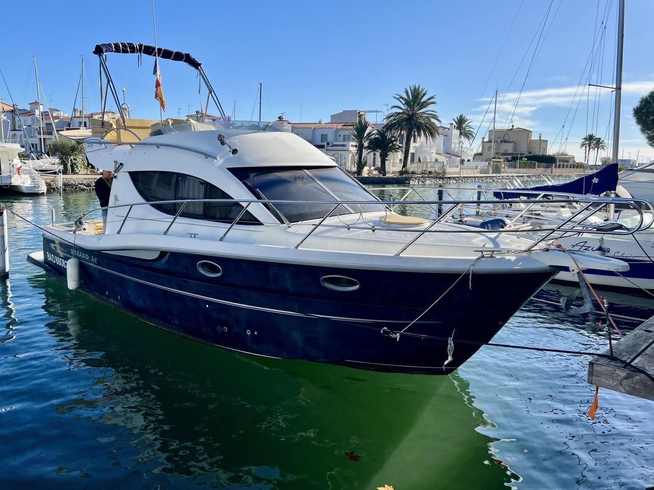 Sessa Dorado 36