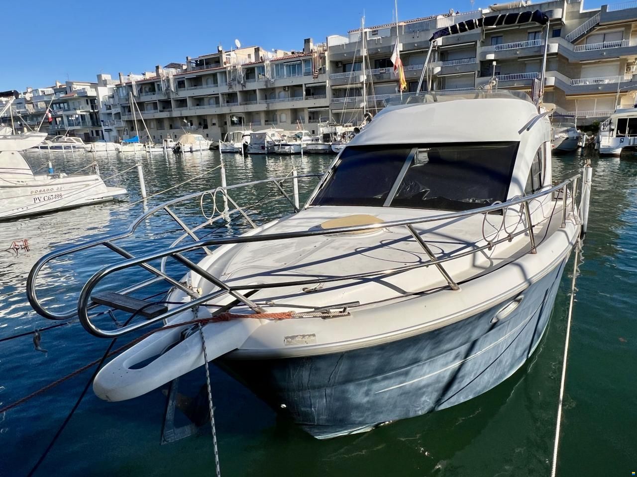 Sessa Dorado 36