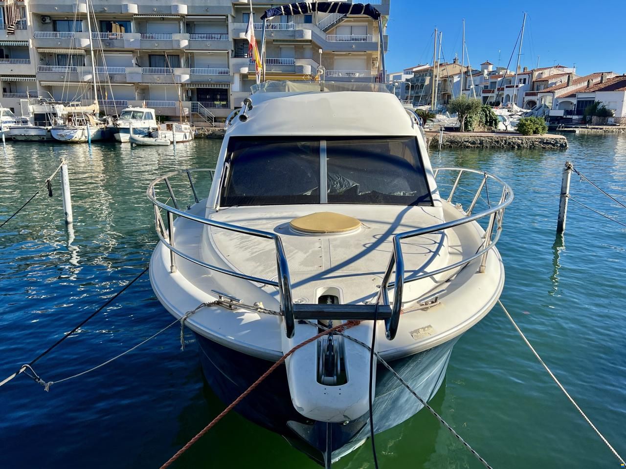 Sessa Dorado 36