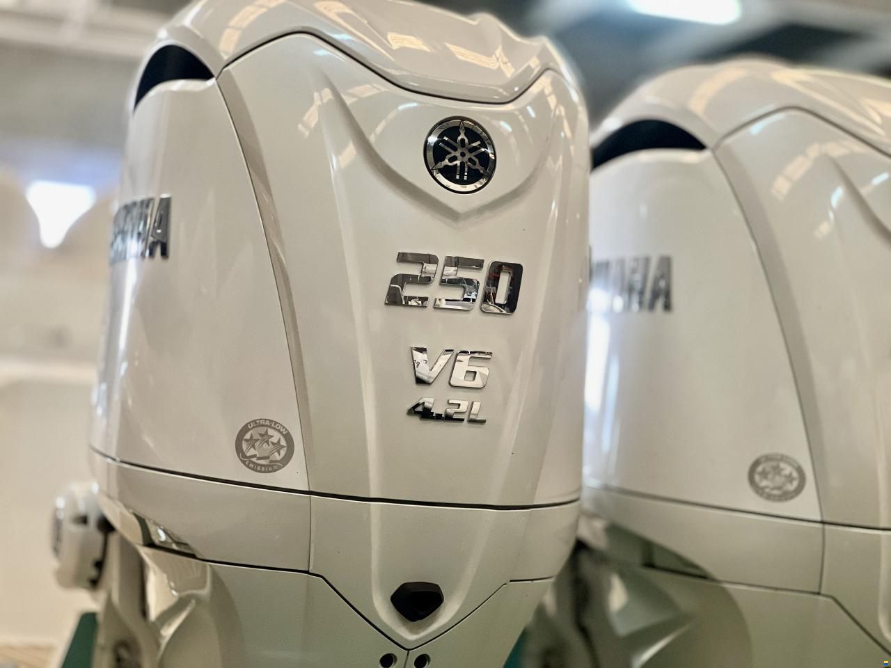White Shark 280 CC