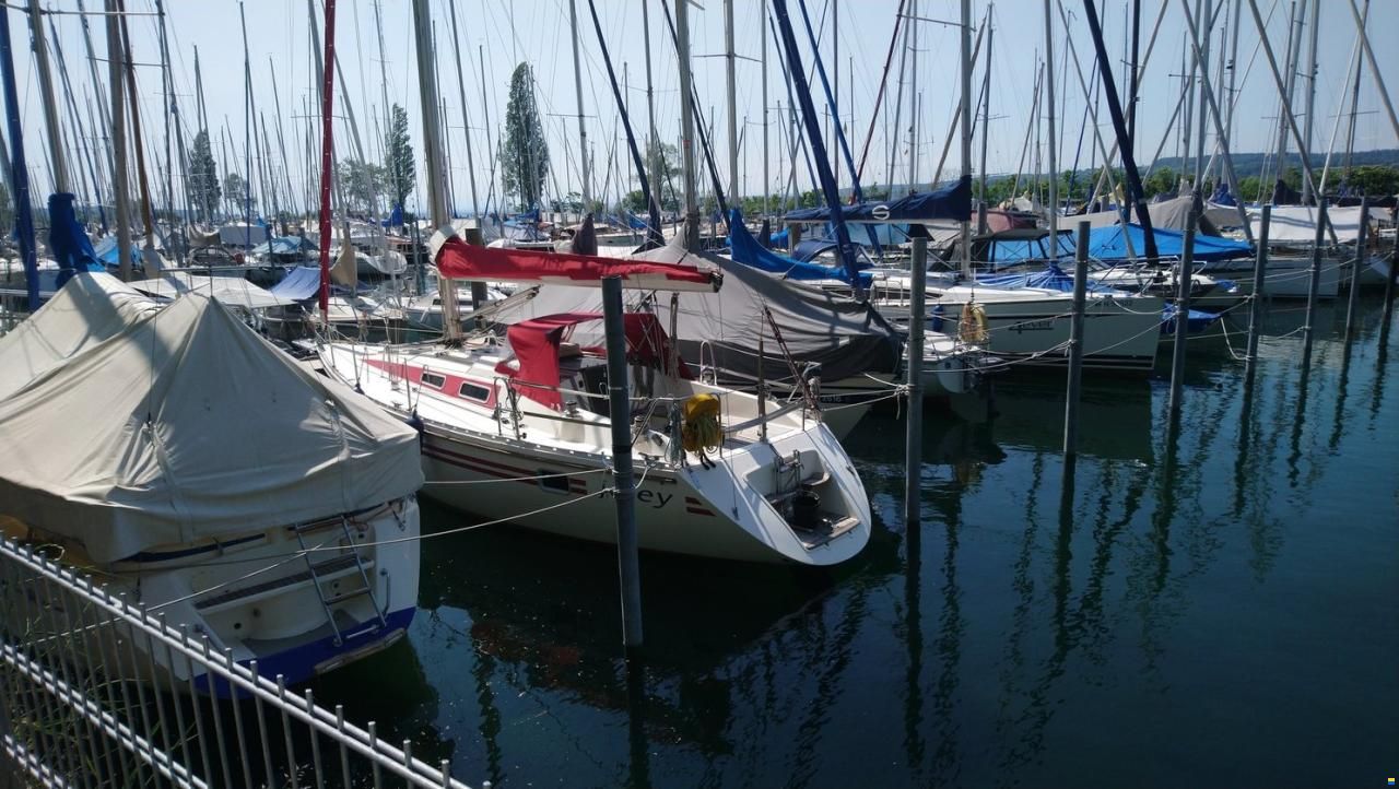 Hanse 331 - schneller Cruiser-Racer