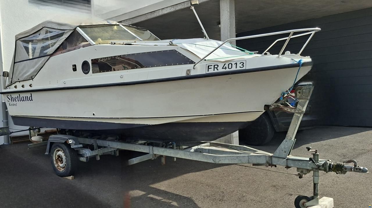 Shetland Kestrel