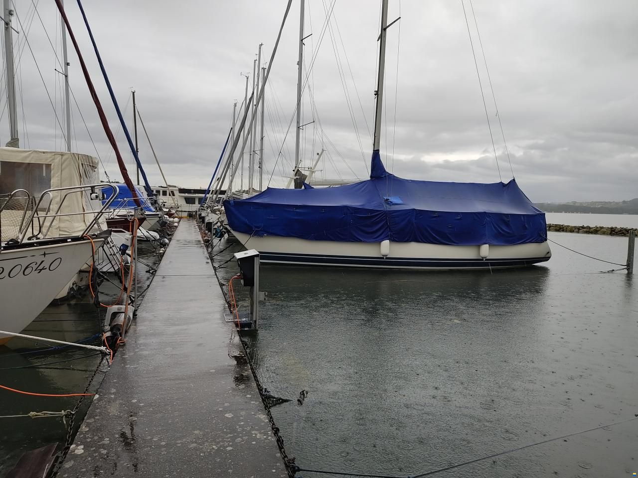 Bjørn Olsen Olsen 31