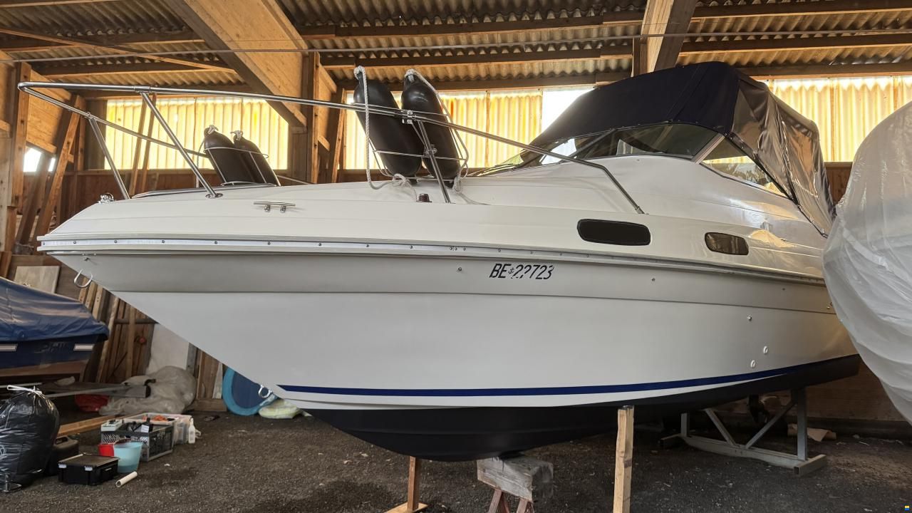 Sea Ray 230 DA