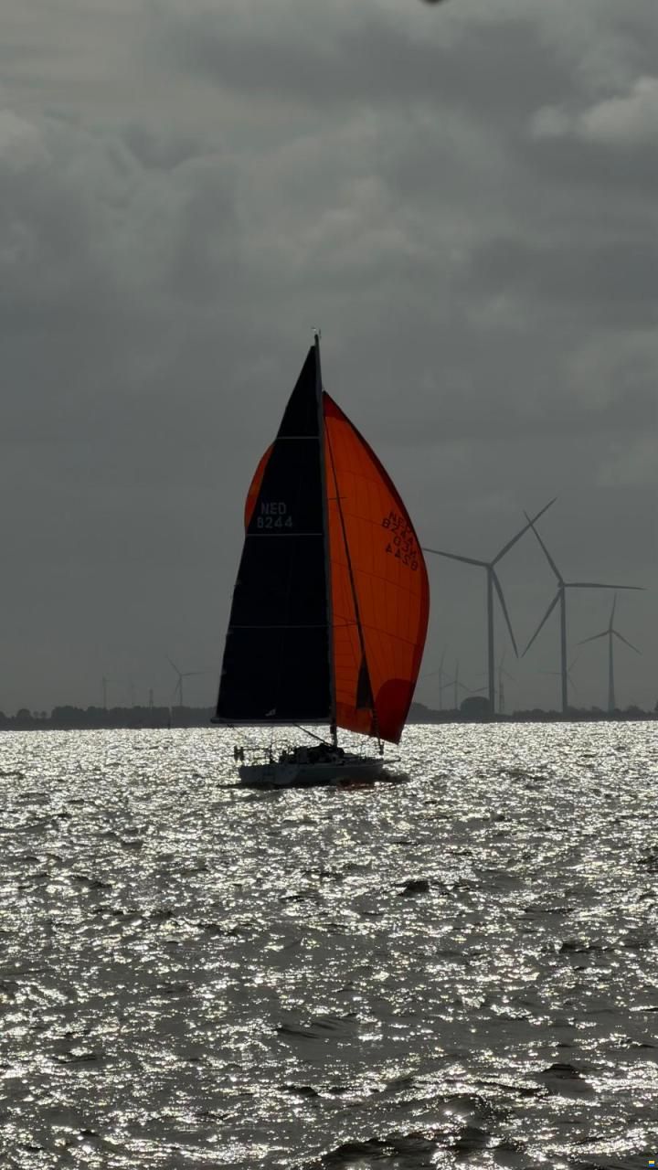 J Boats J105