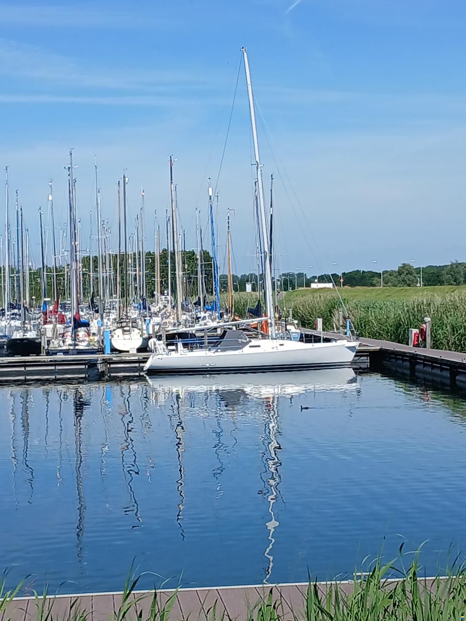 J Boats J105