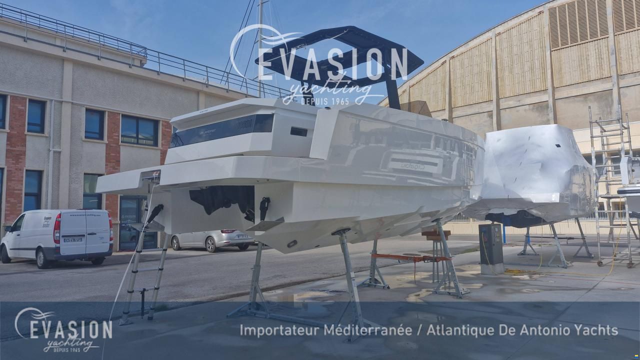De Antonio D29
