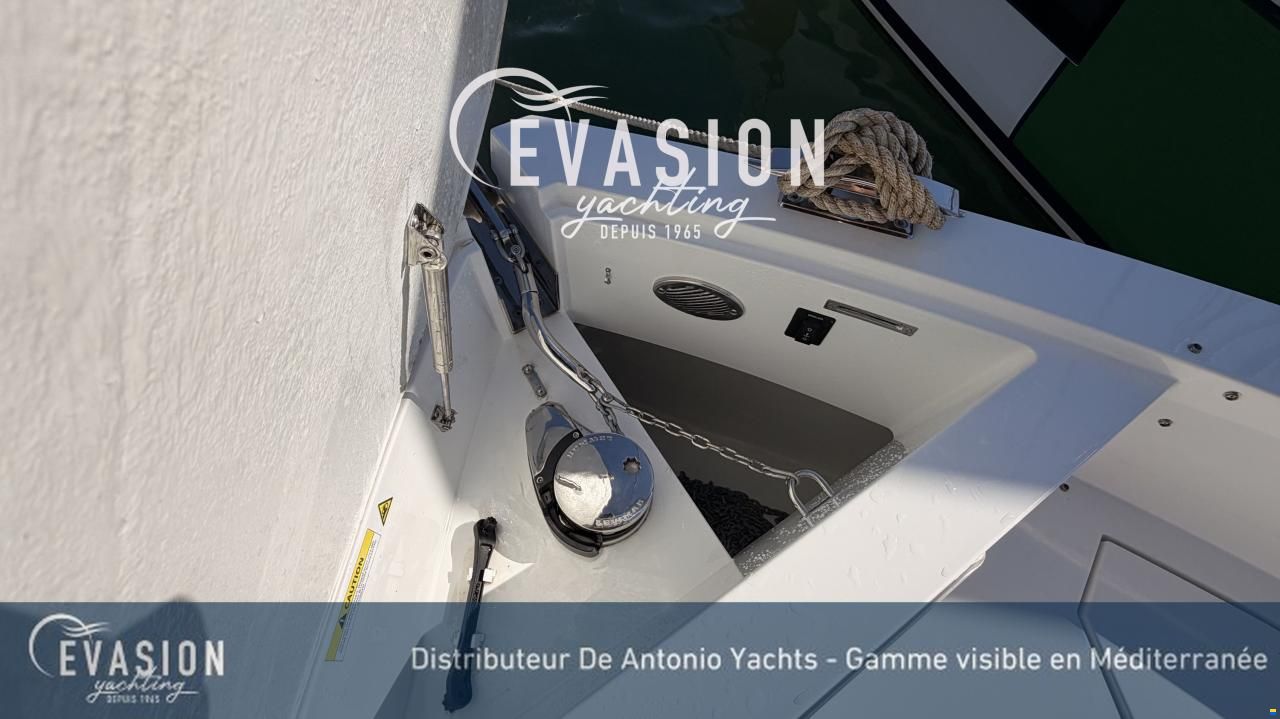De Antonio D29