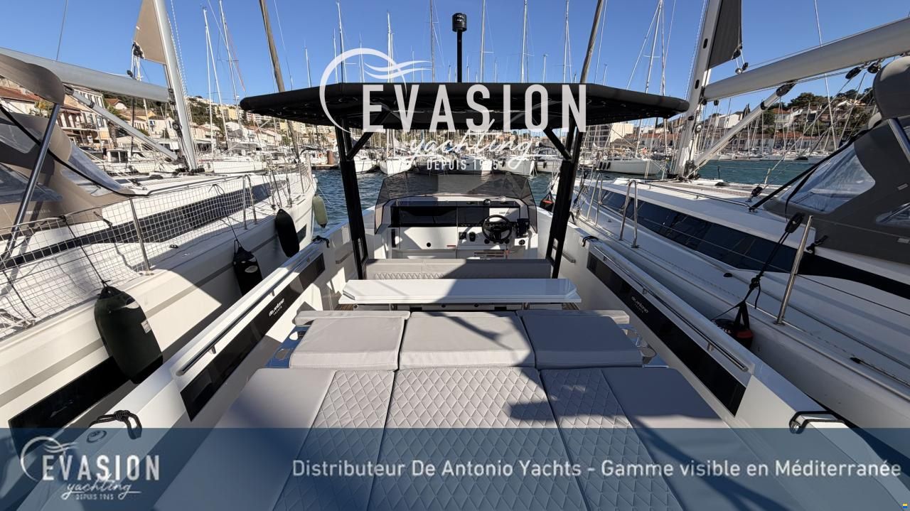 De Antonio D29