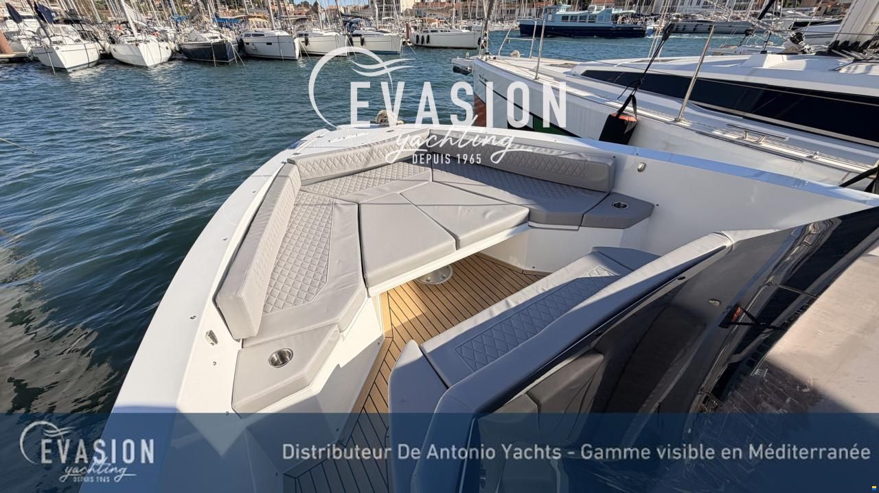 De Antonio D29