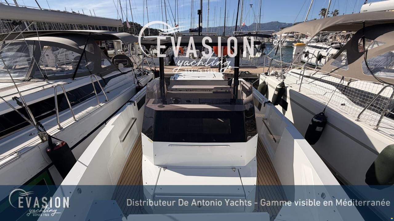 De Antonio D29