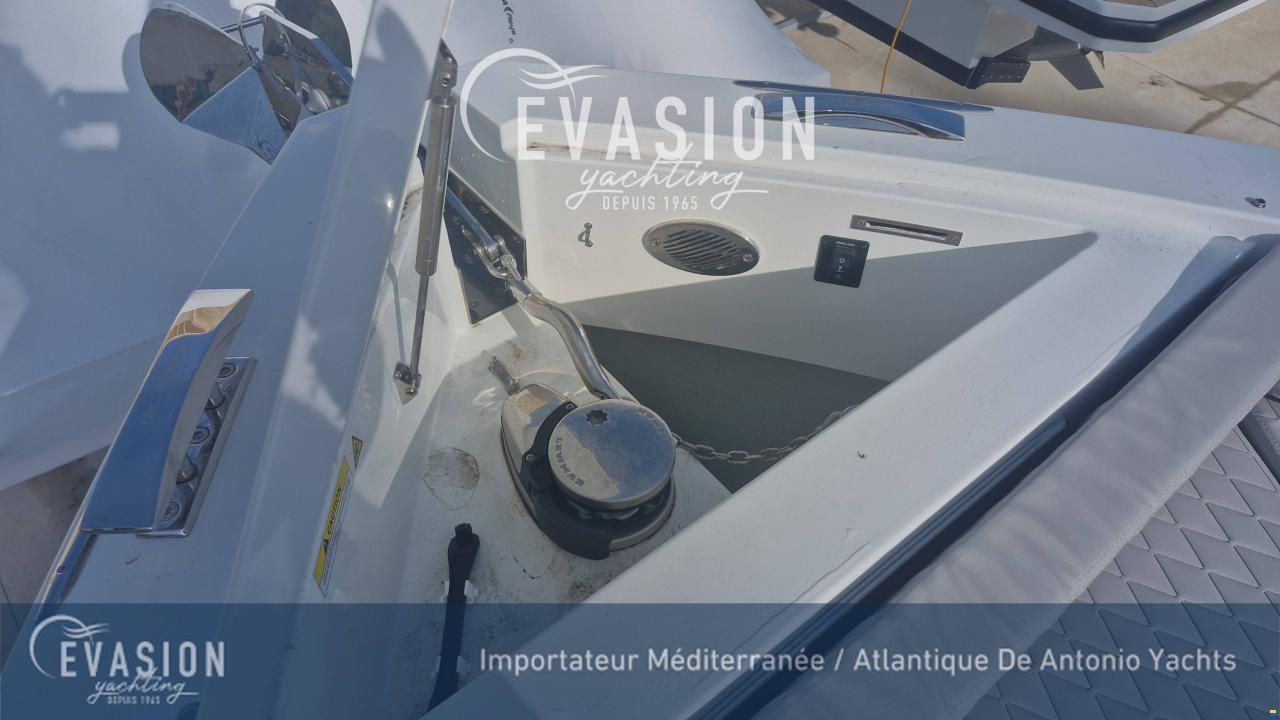 De Antonio D29