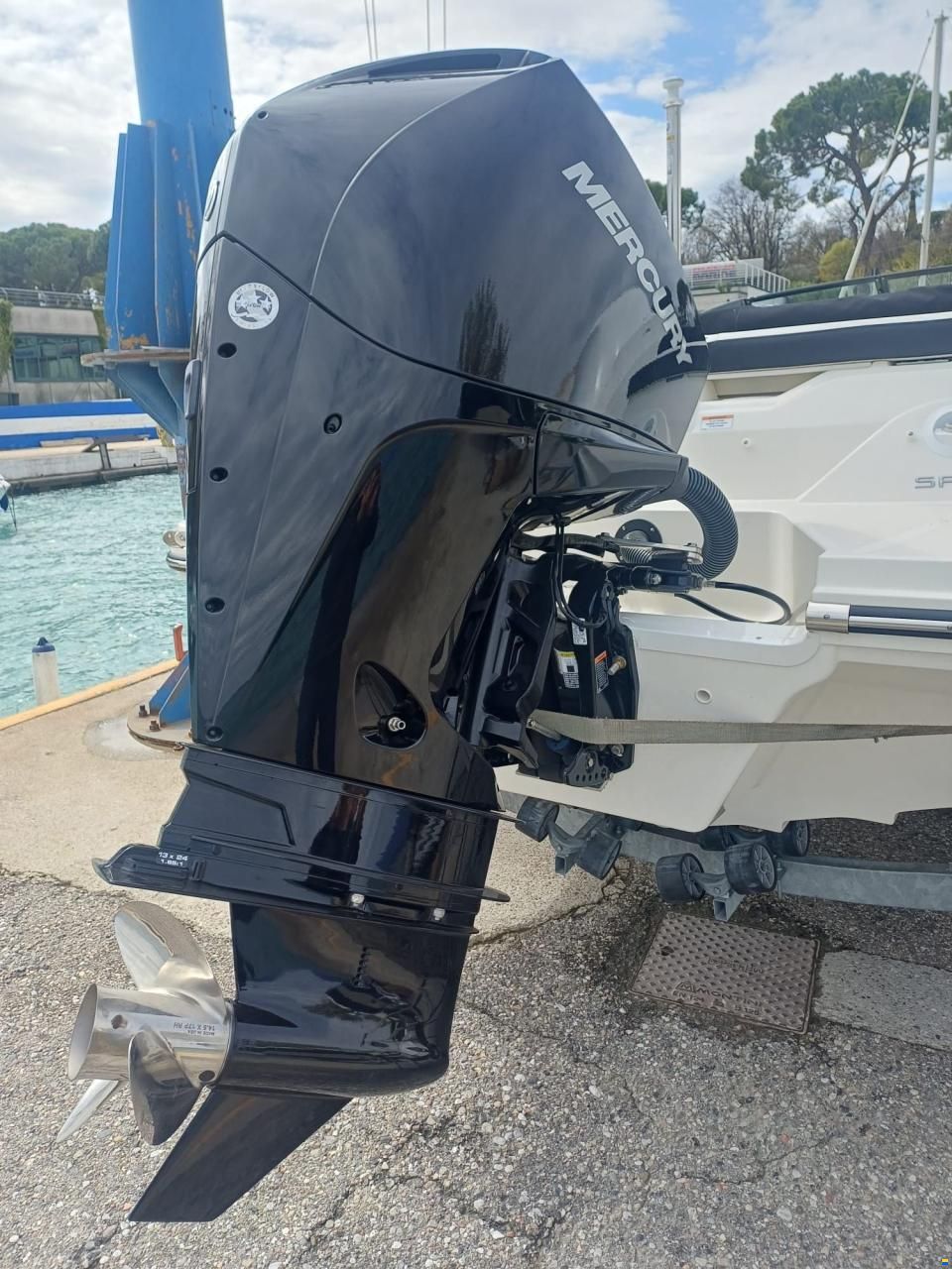 Sea Ray SPX 210 OUTBOARD