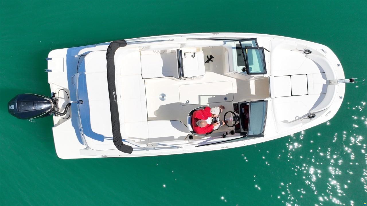 Sea Ray SPX 210 OUTBOARD