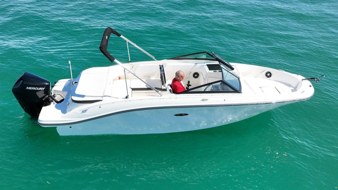 Sea Ray SPX 210 OUTBOARD