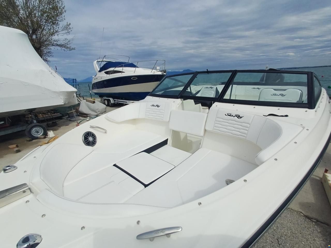 Sea Ray SPX 210 OUTBOARD