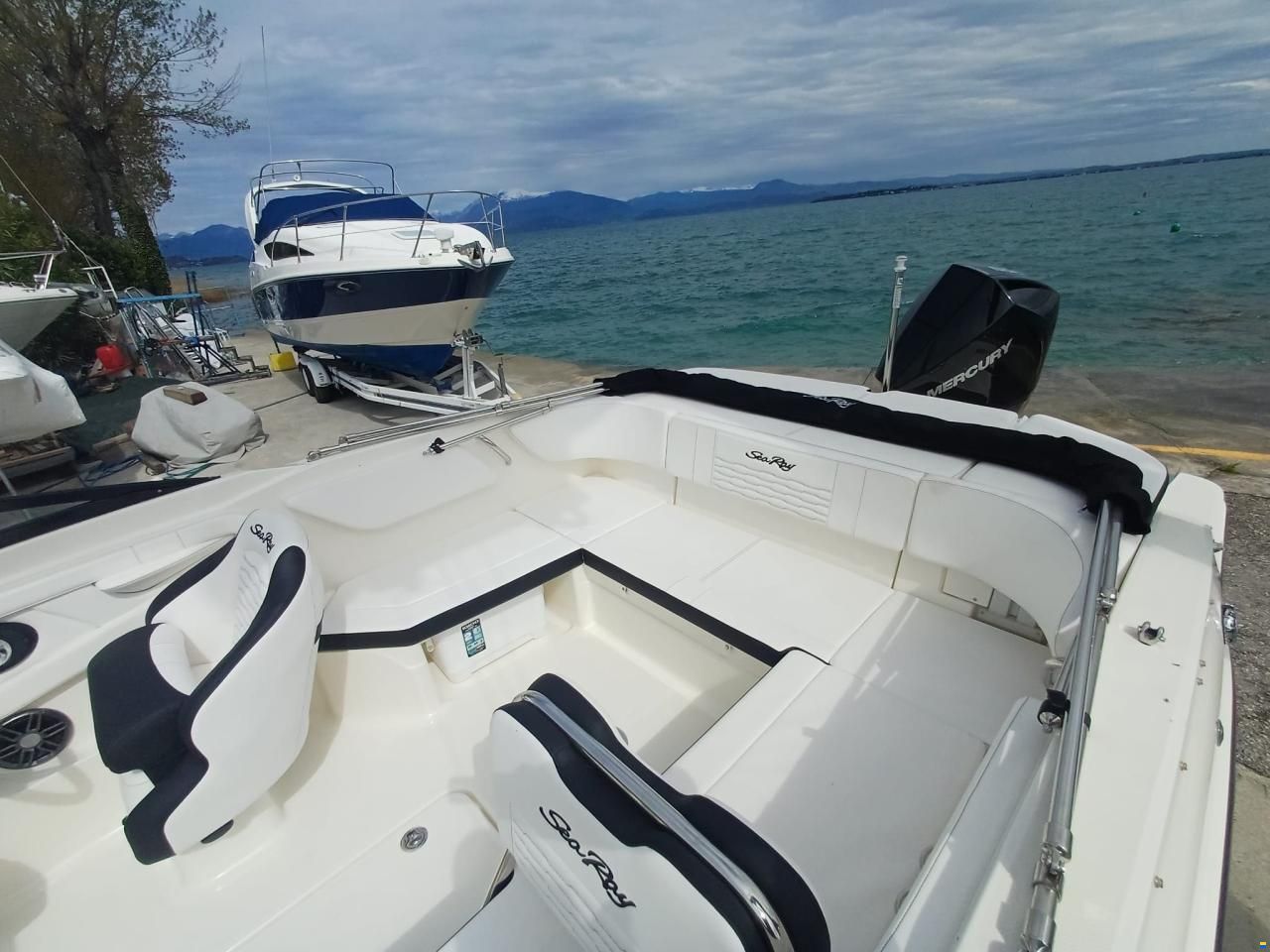 Sea Ray SPX 210 OUTBOARD