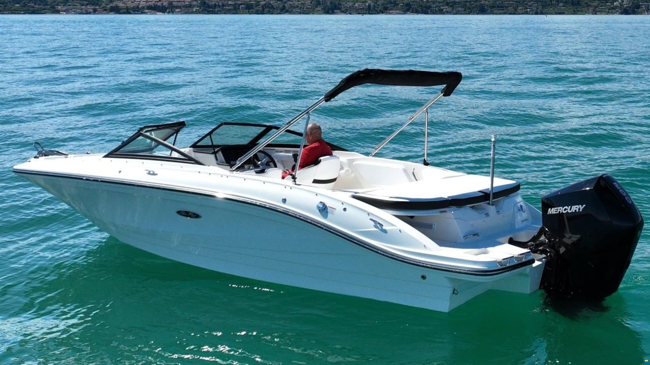 Sea Ray SPX 210 OUTBOARD