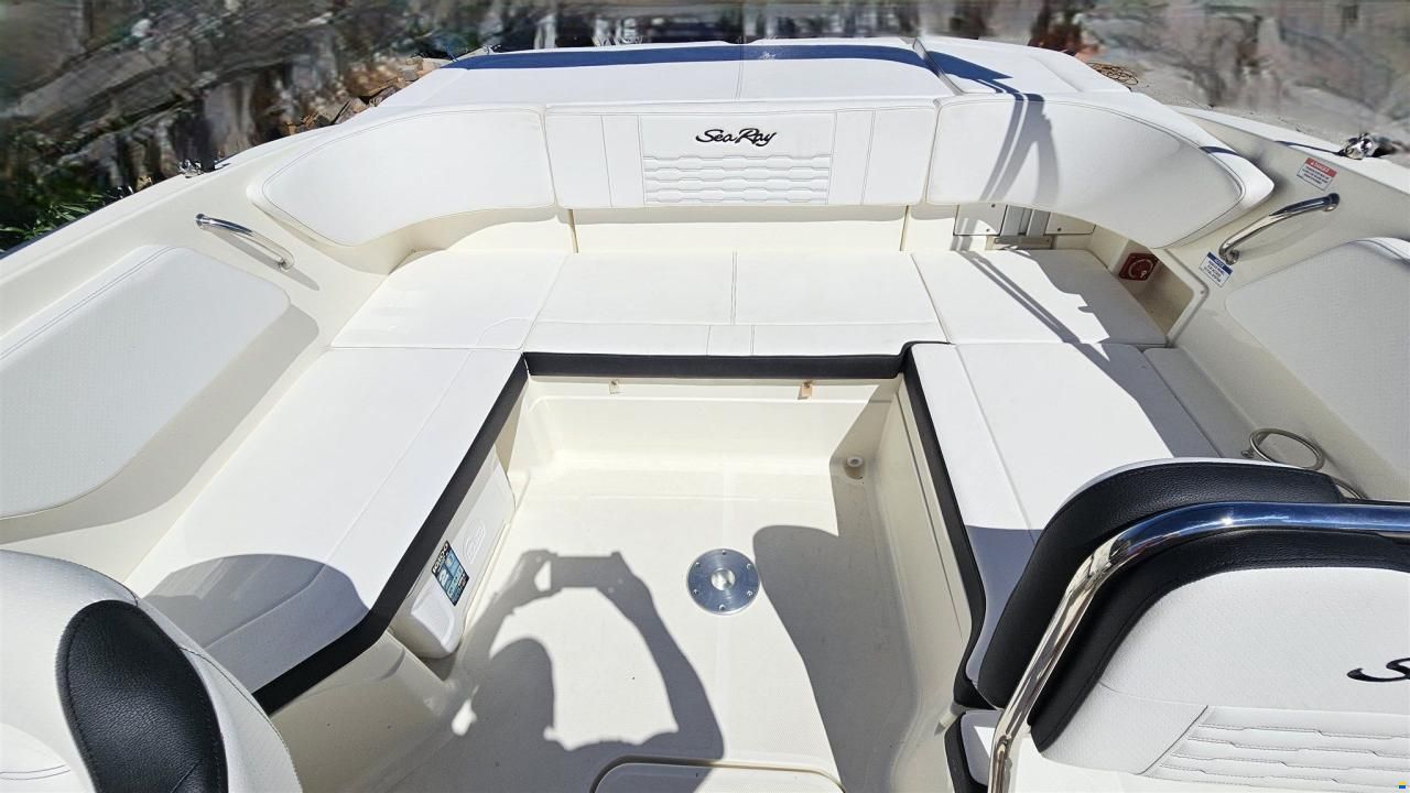 Sea Ray SPX 210 OUTBOARD