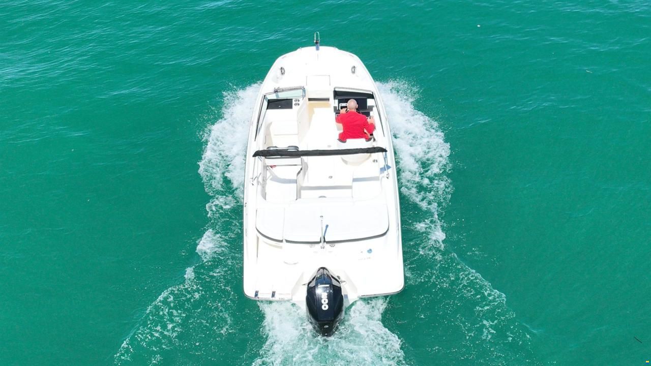 Sea Ray SPX 210 OUTBOARD