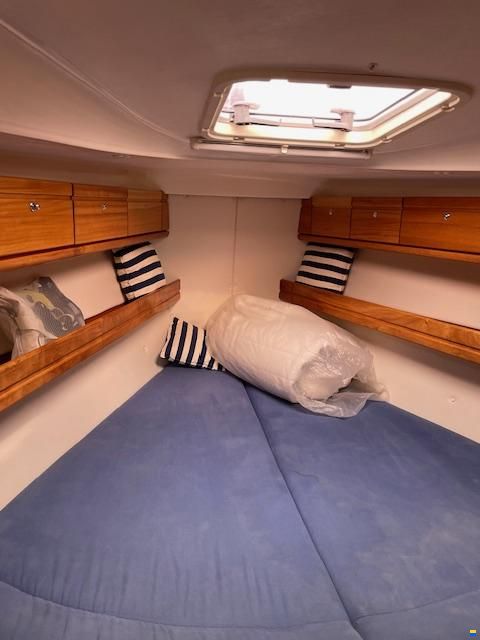 Bavaria 39