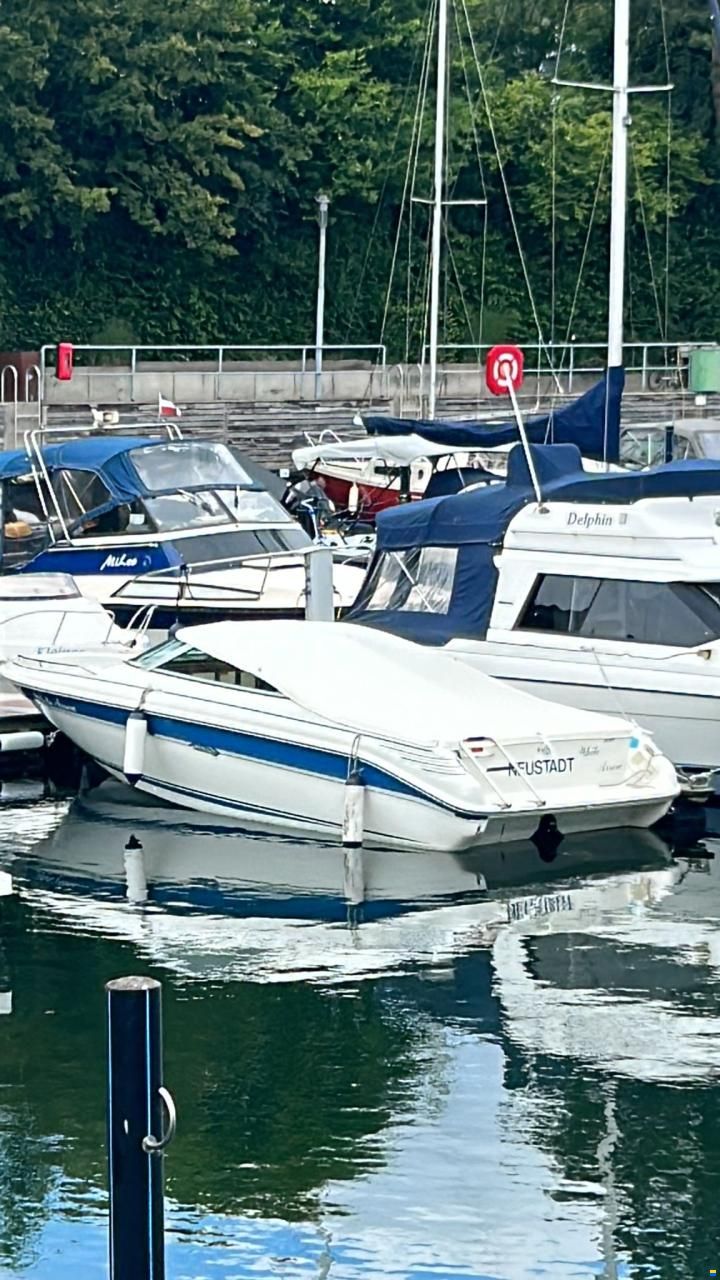Sea Ray 200 OV