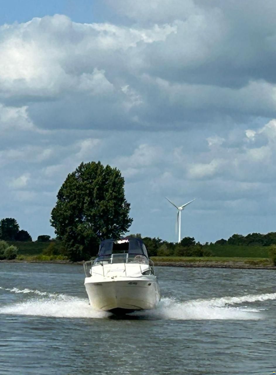 Bayliner 2355