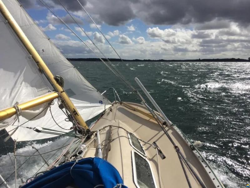 Marieholm Internat. Folkeboot IF