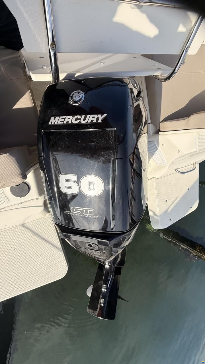 Quicksilver 505 Cabin