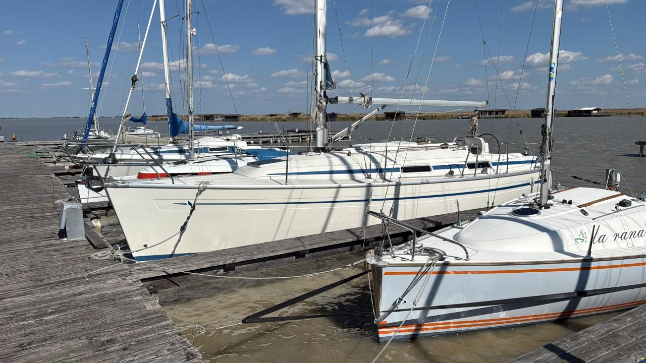 Bavaria 31