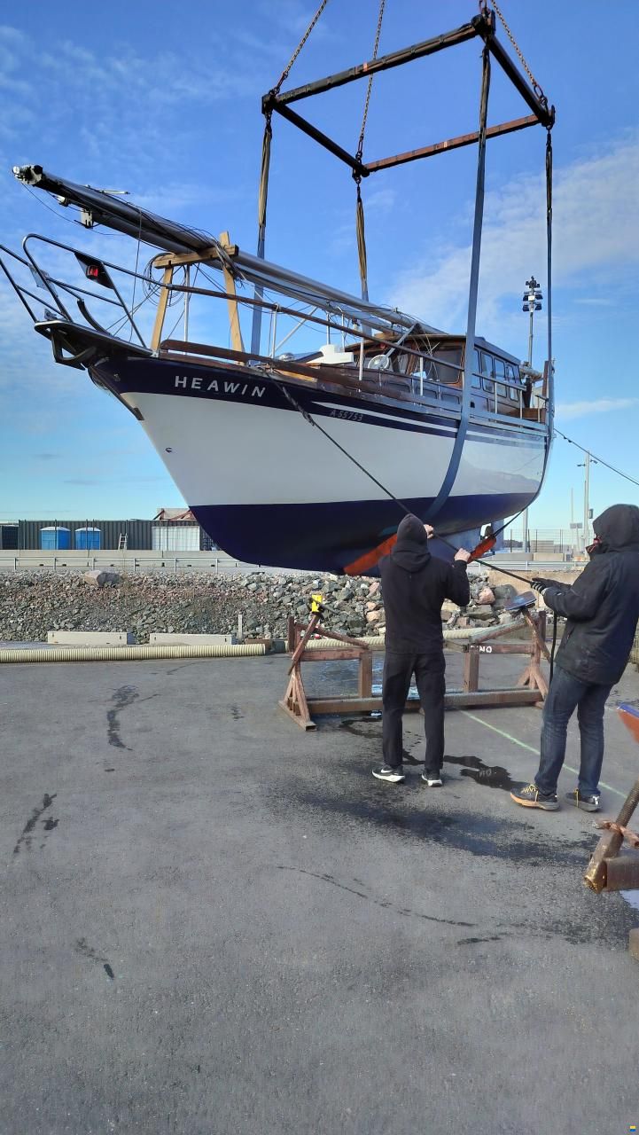 Seafinn 39