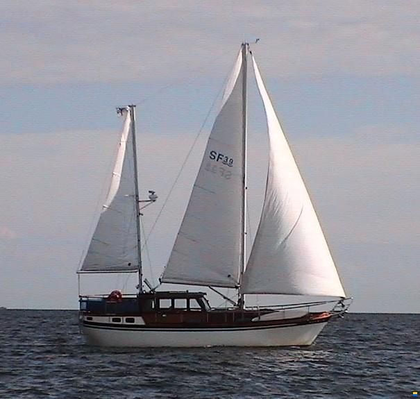 Seafinn 39