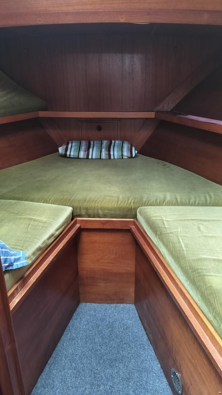 Seafinn 39