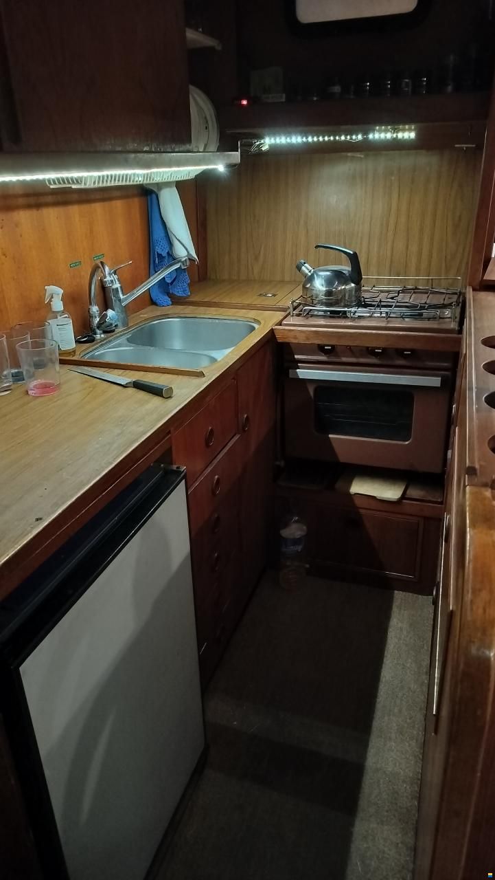 Seafinn 39