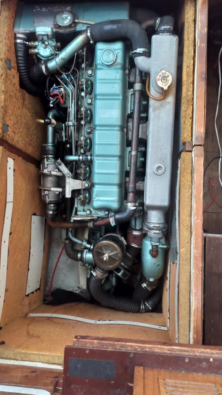 Seafinn 39