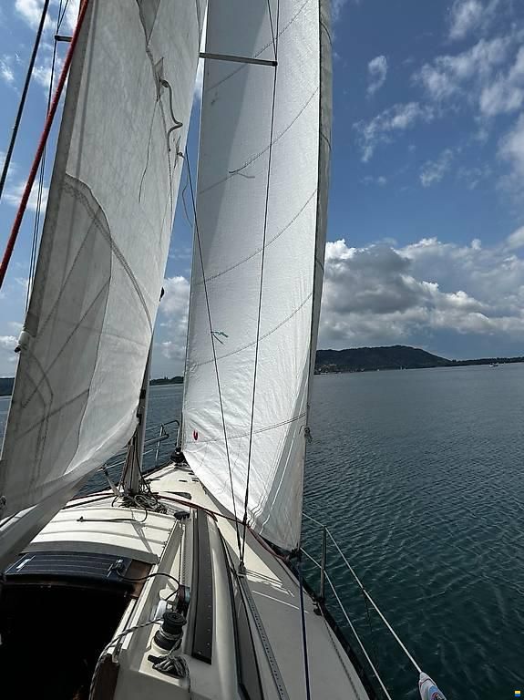 Meijer Friendship 26