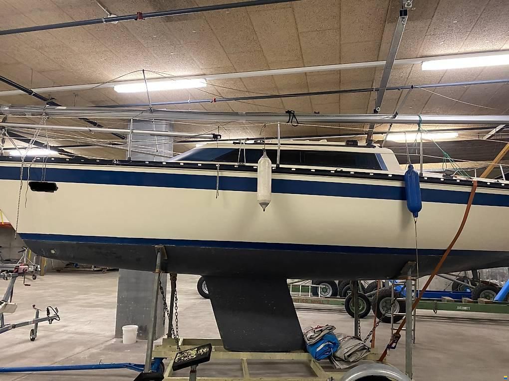 Meijer Friendship 26