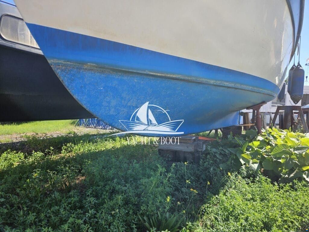 Fram 25