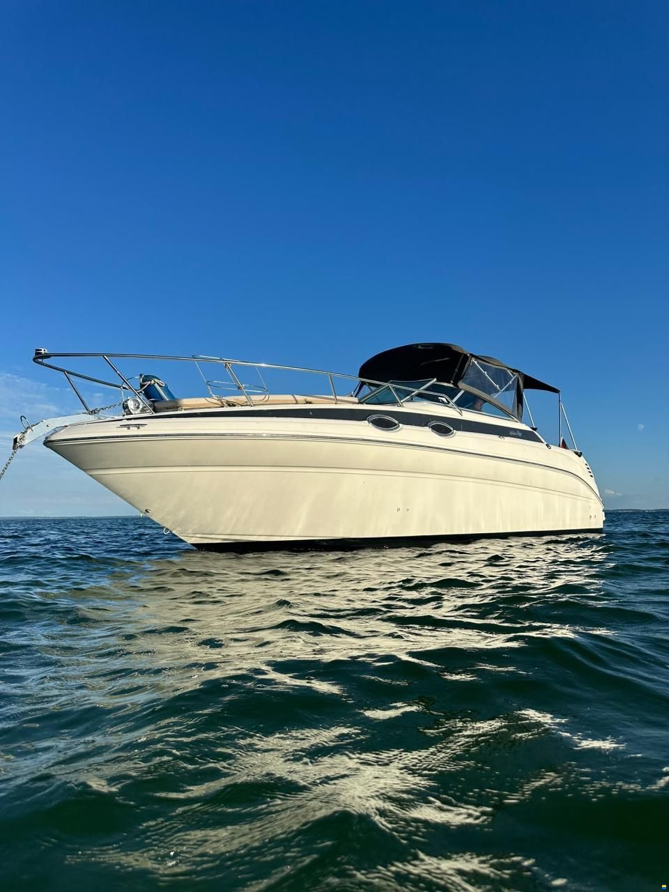 Sea Ray 260 DA Sundancer
