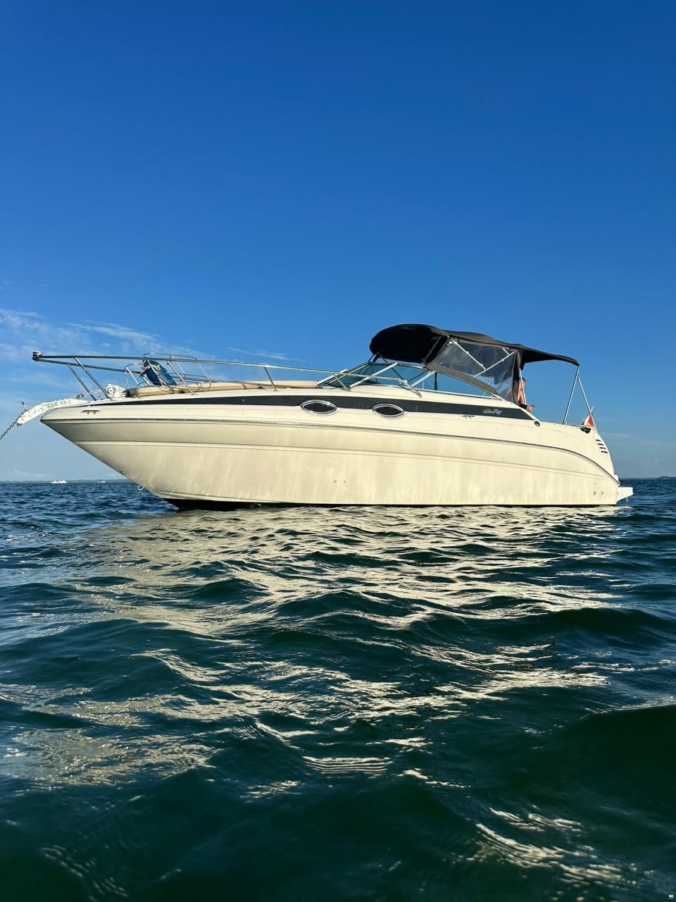 Sea Ray 260 DA Sundancer